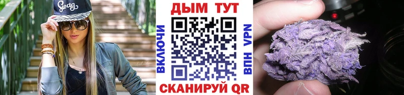 где купить наркоту  Окуловка  Бошки марихуана сатива 